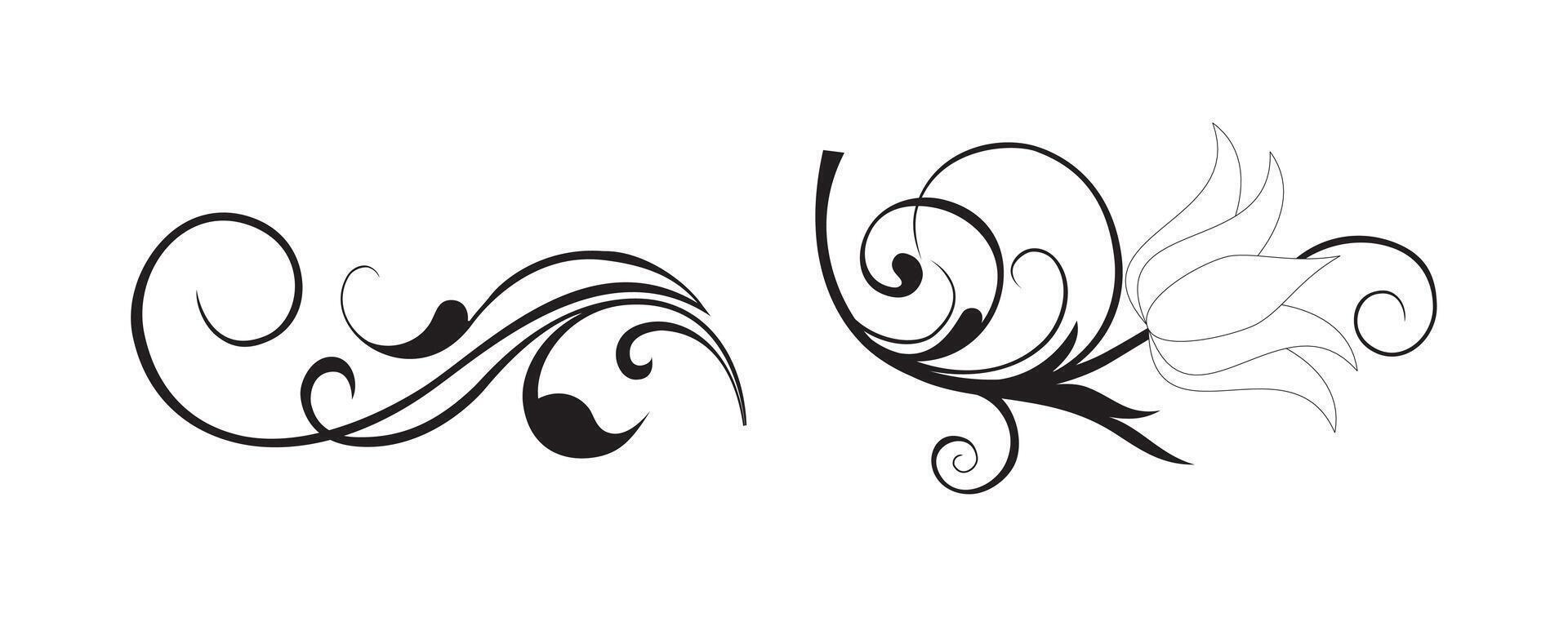 Set floral swirl decorative ornament on black colour vector
