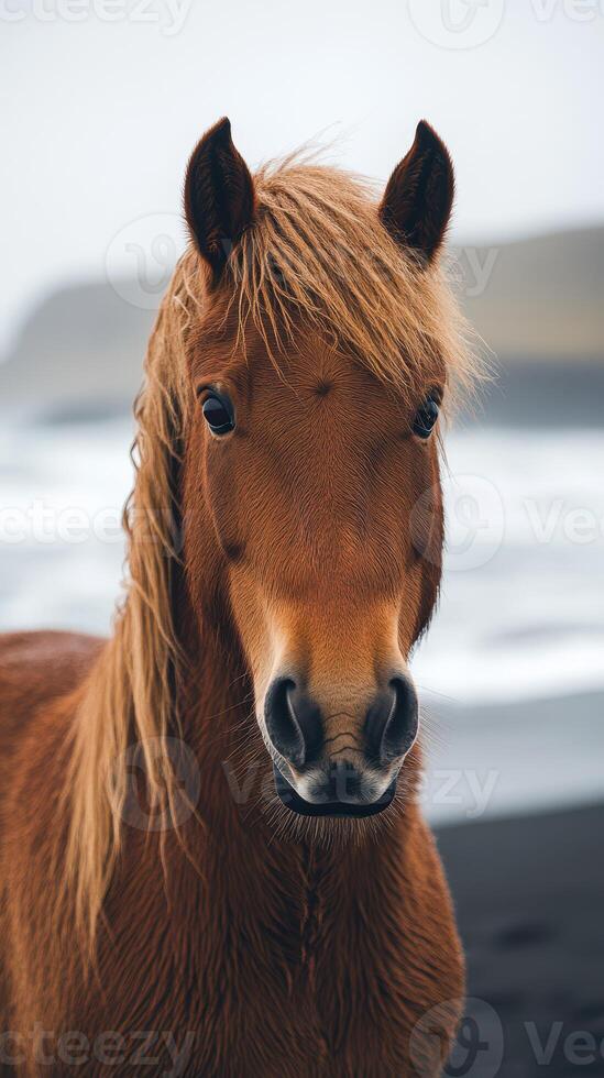 Majestic brown horse poses on a black sand beach with gentle ocean waves in the background during a calm day photo