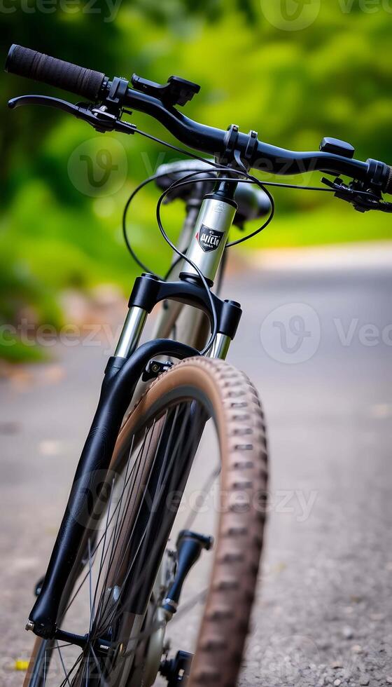 Exploring Nature by Bicycle photo