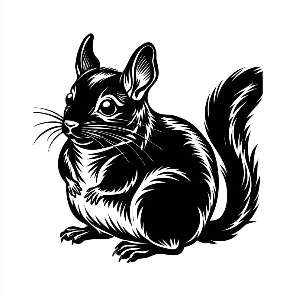 Chinchilla silhouette set vector