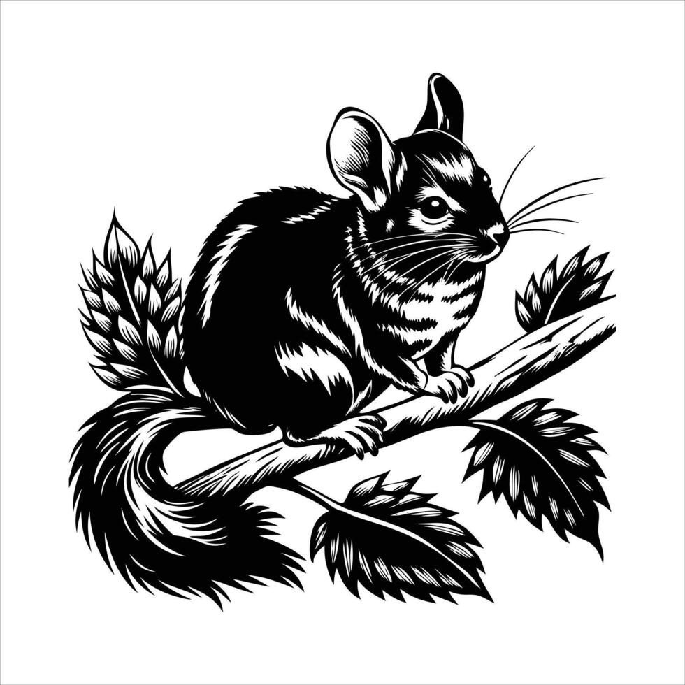Get Premium Chinchilla Silhouette vector
