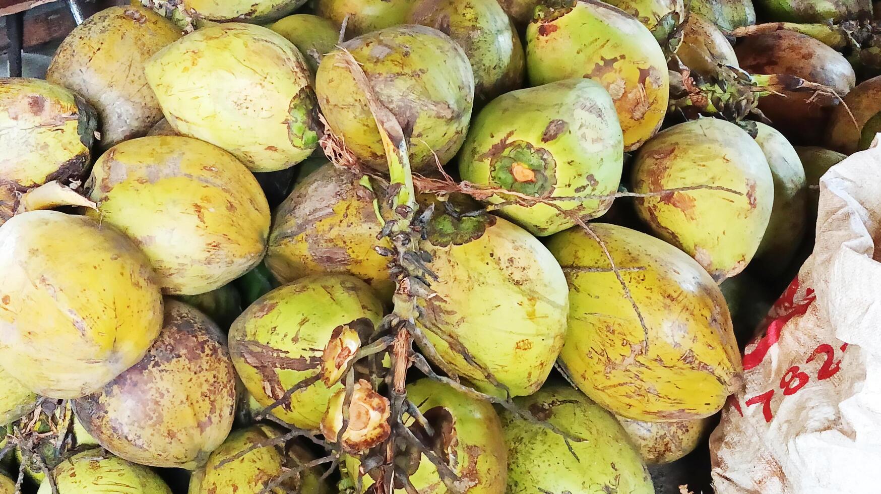 Some fresh coconuts in close-up shot. photo