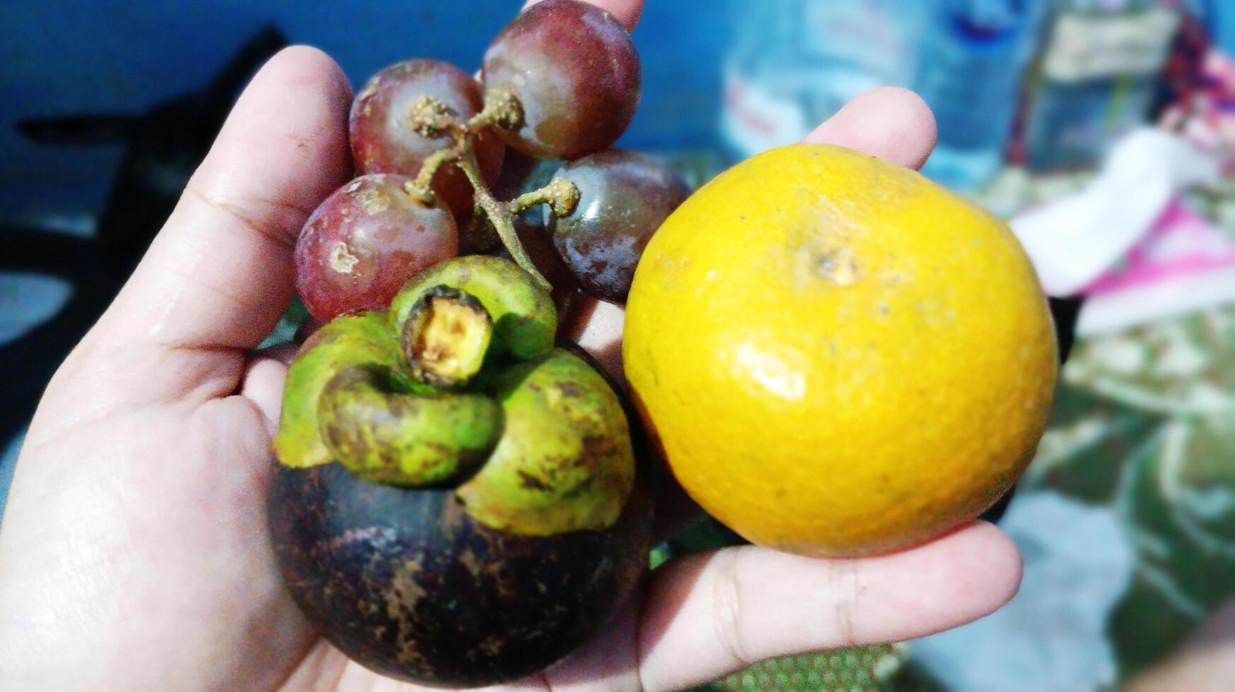Mangosteen, orange and grapes being held by humans. photo