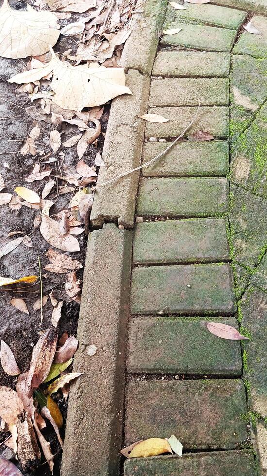 The path is made of brick and surrounded by fallen leaves images photo