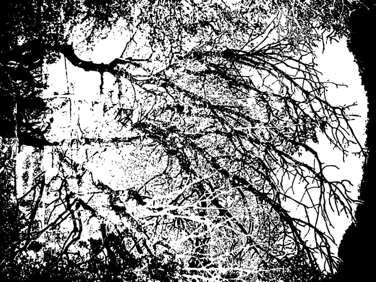 Rustic surface with weathered imperfections. Abstract background and backdrop.. vector