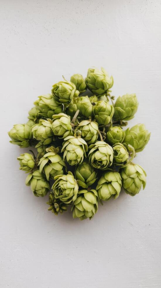 Pile of hop cone on white background hop ingredient for brewing beer photo