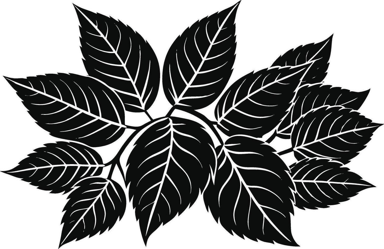 black and green leaves . vector