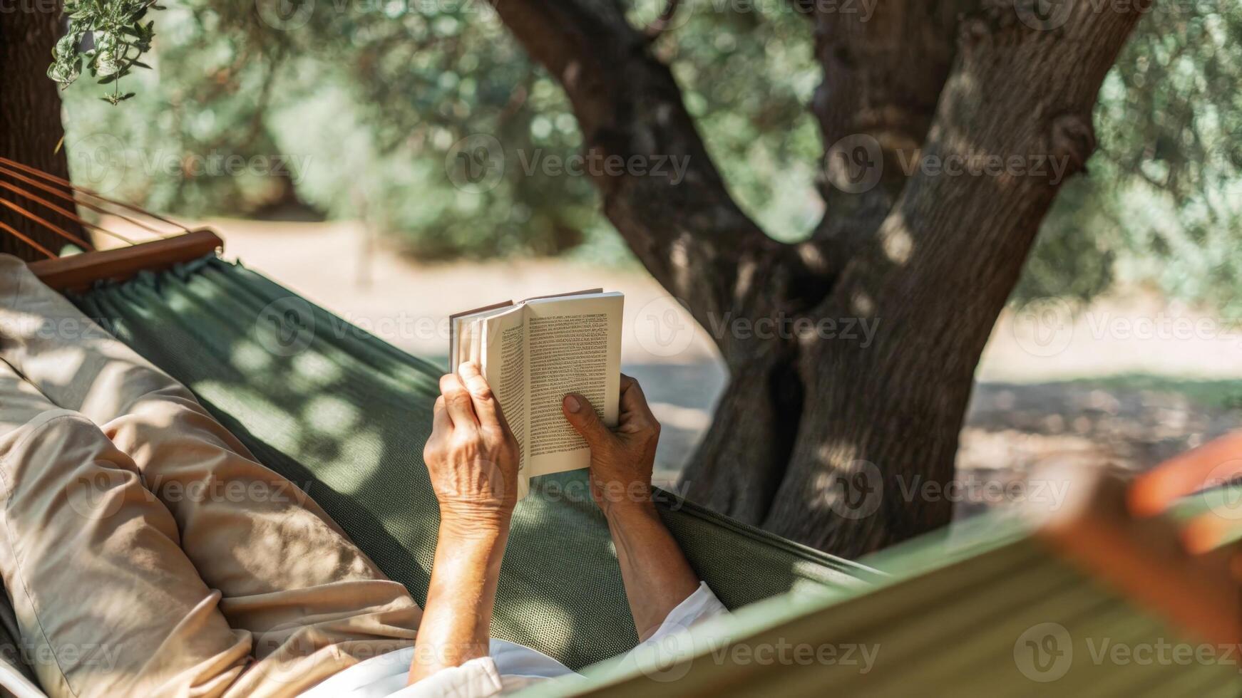 Senior man relaxing in hammock reading a book under olive tree photo