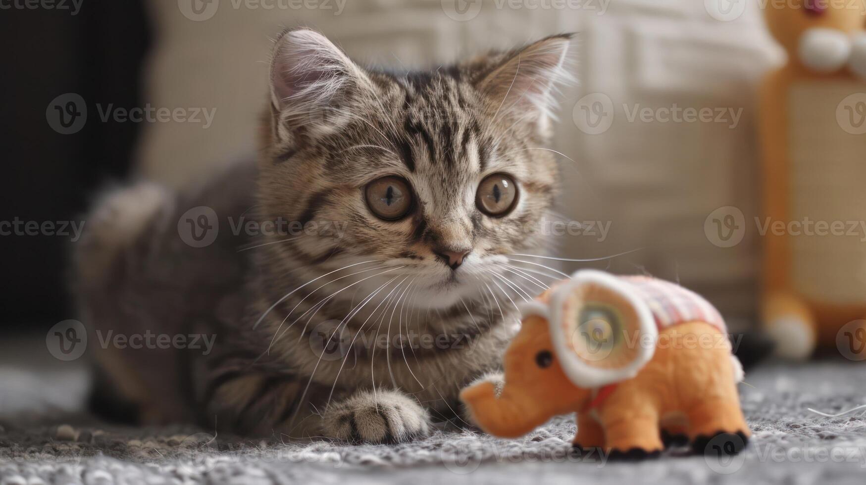 A curious kitten observes a small toy elephant on a textured surface. photo