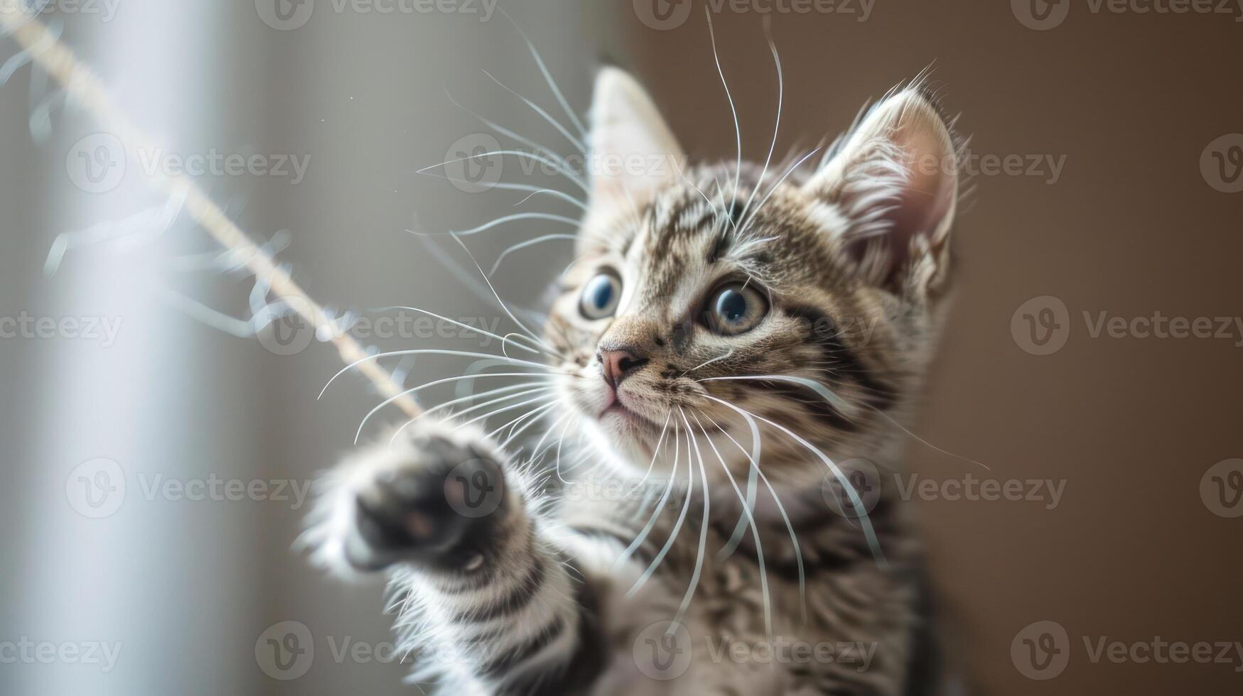 A playful kitten engaging with a string, showcasing curiosity and innocence. photo