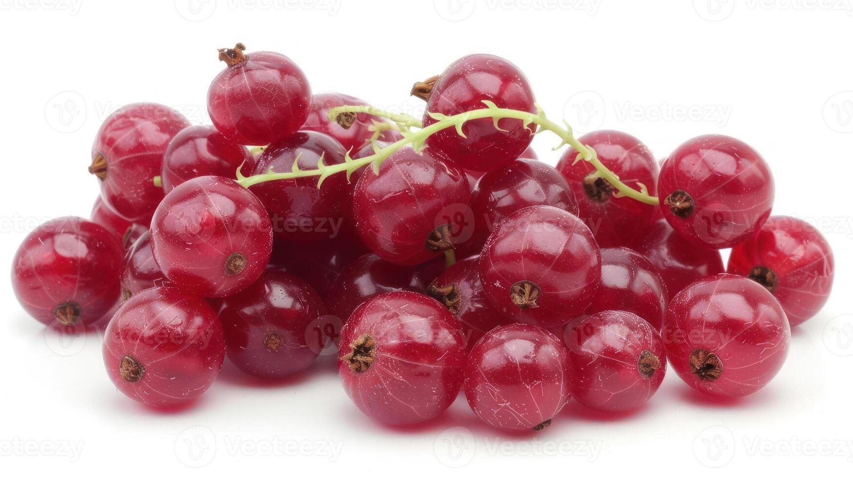 A cluster of fresh red currants on a white background. photo