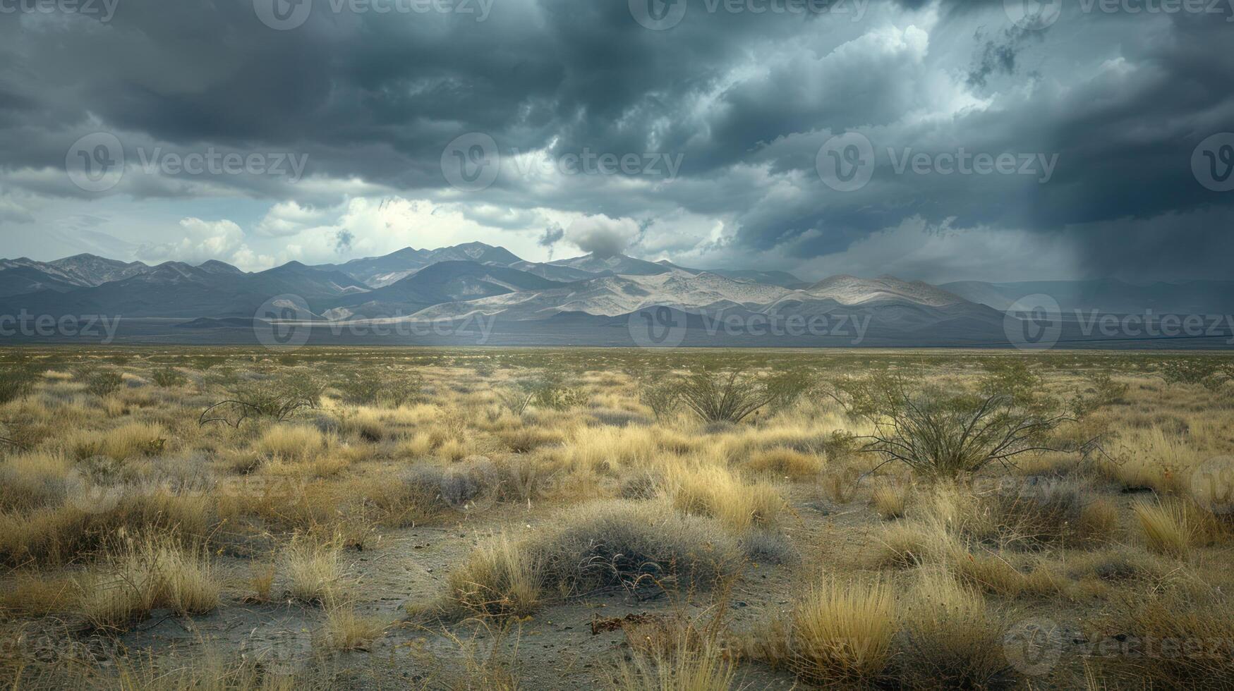 A dramatic desert landscape with mountains under a stormy sky and sparse vegetation. photo