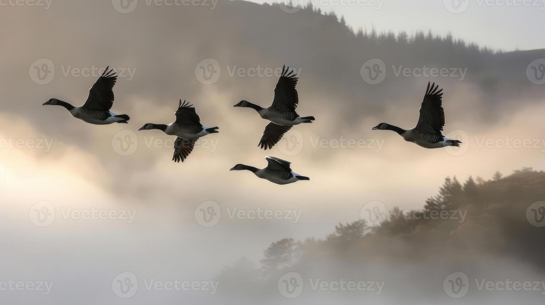 A serene scene of five birds flying through misty mountains at dawn. photo