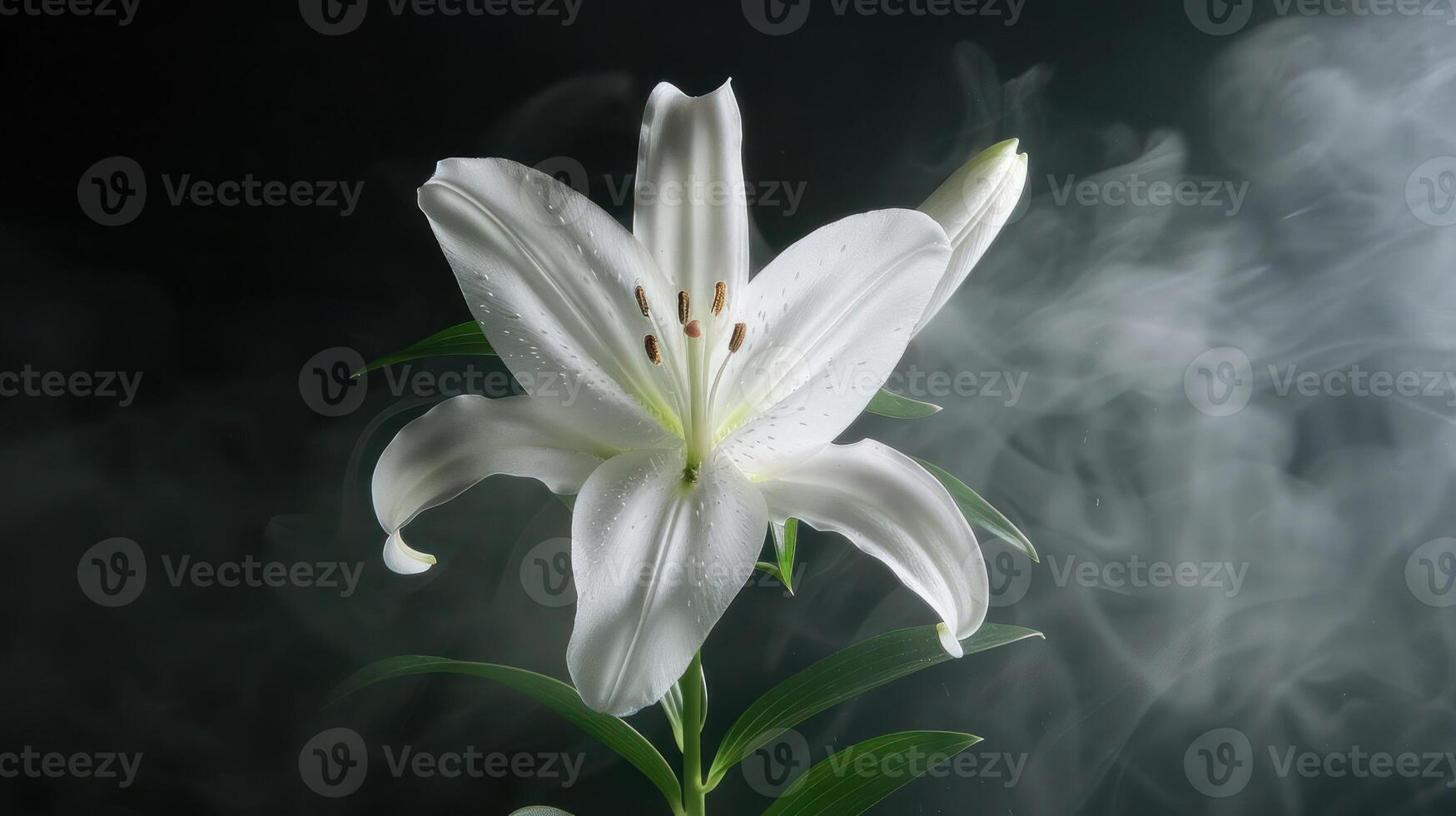 A close-up of a white lily surrounded by soft smoke, highlighting its elegance and beauty. photo