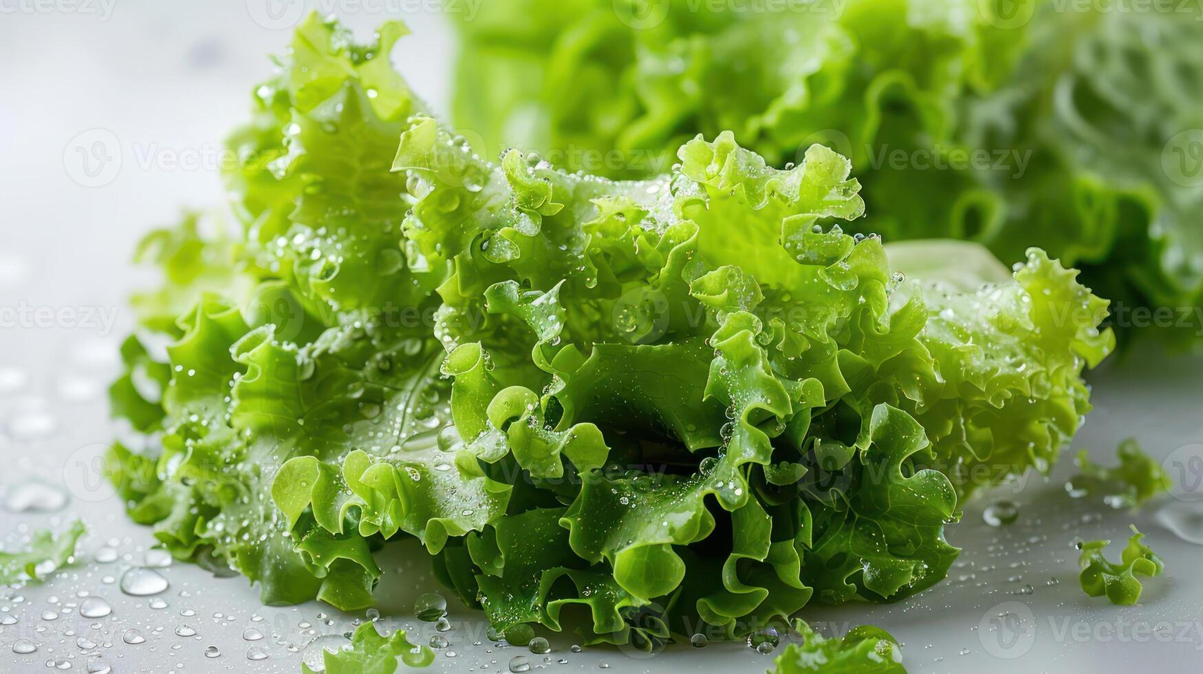 Fresh green lettuce with droplets of water, showcasing its crisp texture and vibrant color. photo