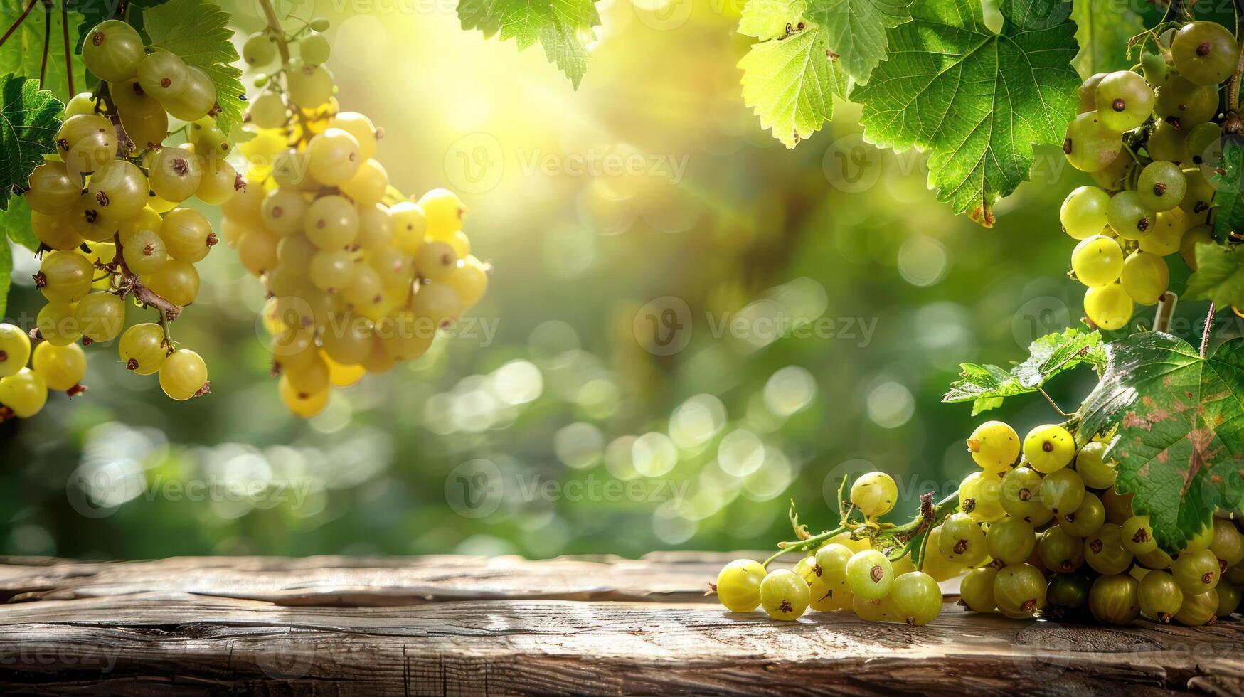 A serene scene featuring green grapes on a wooden surface with a blurred, sunlit background. photo