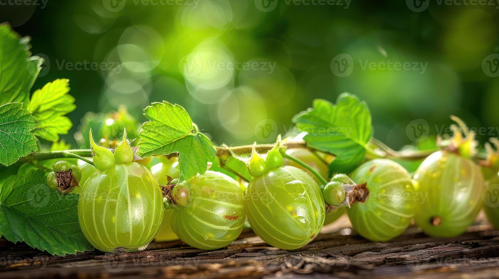 Fresh green gooseberries with leaves on a wooden surface, surrounded by a blurred background. photo