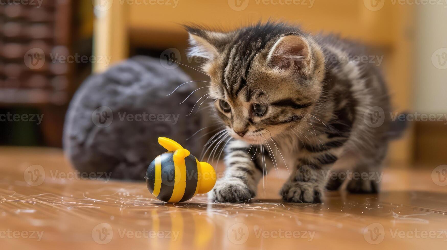 A playful kitten interacts with a colorful bee toy on a wooden floor. photo