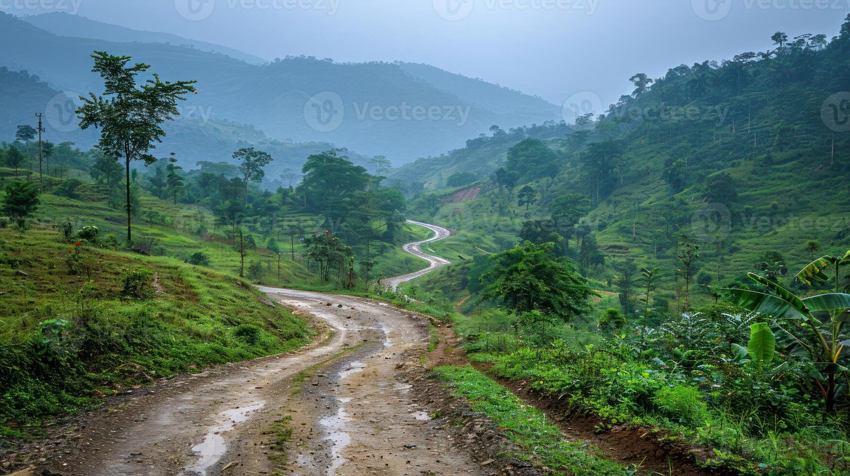 A winding dirt road through lush green hills under a misty sky. photo