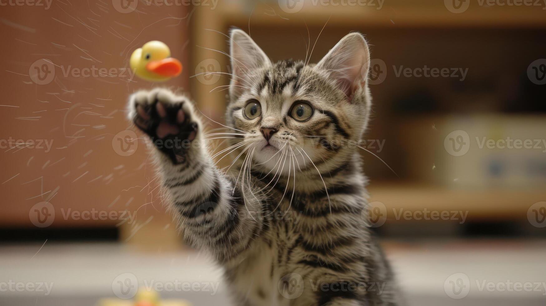 A playful kitten reaching for a small rubber duck toy in a cozy indoor setting. photo