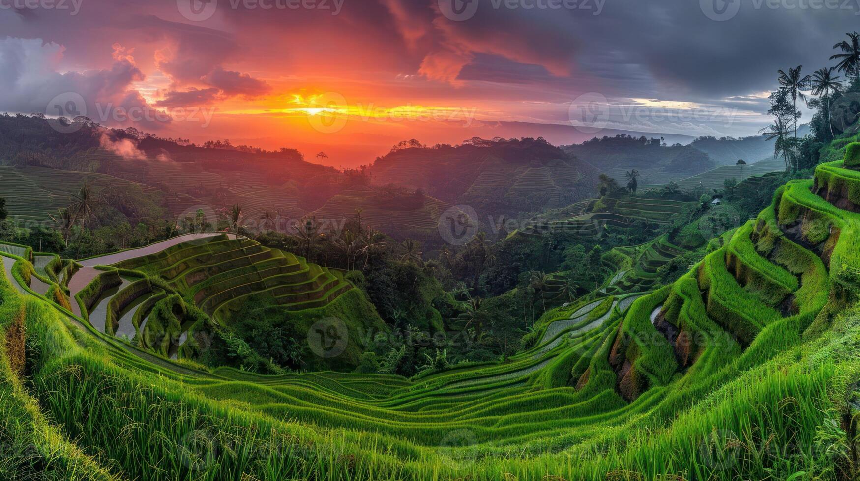 Serene sunset over lush terraced rice fields, showcasing nature's beauty and agricultural harmony. photo