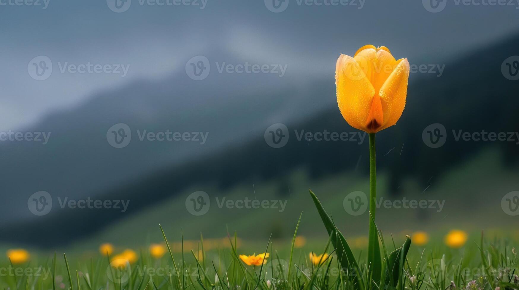 A solitary yellow tulip stands out against a misty mountain backdrop in a lush green field. photo