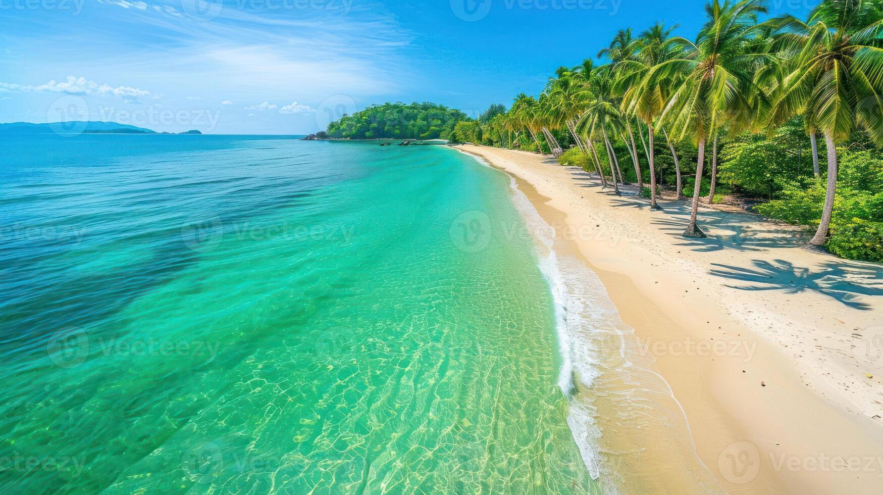 A serene tropical beach with clear turquoise waters and lush palm trees. photo
