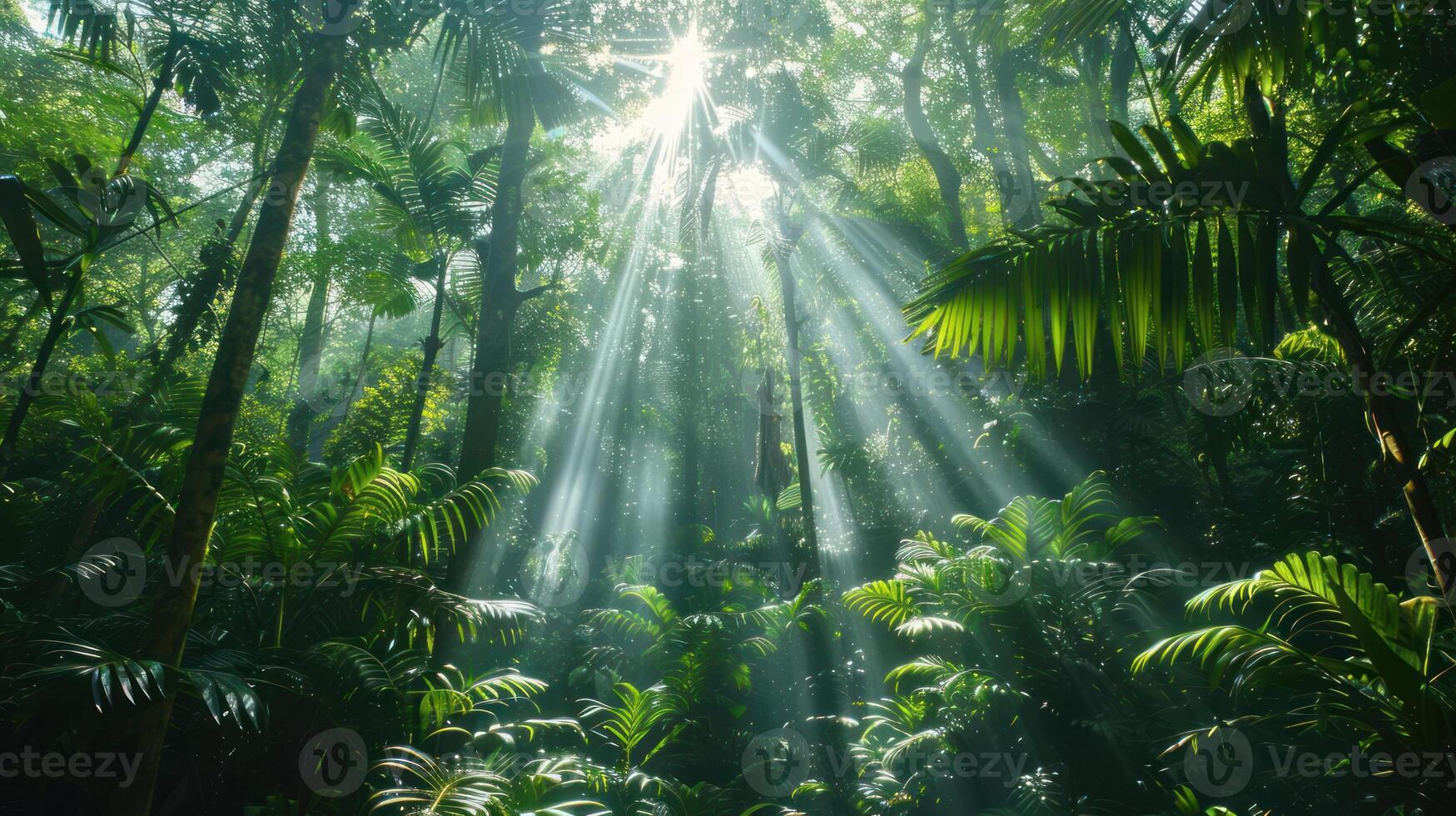 Sunlight streams through dense jungle foliage, creating a serene and mystical atmosphere. photo