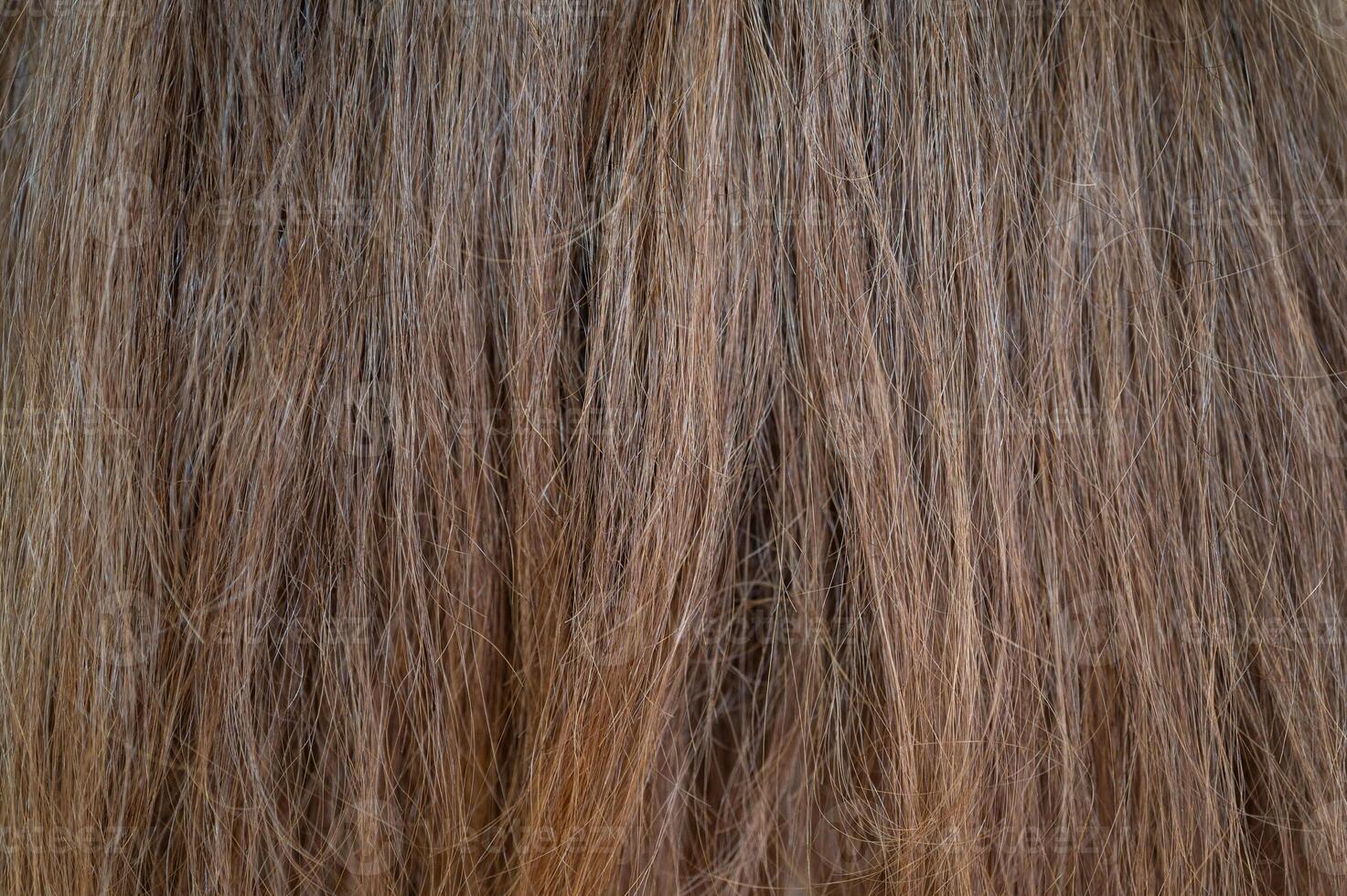Full frame shot of woman hair textured and background. Hair is the mass of thin thread-like structures on the head of a person, or any of these structures that grow out of the skin. photo