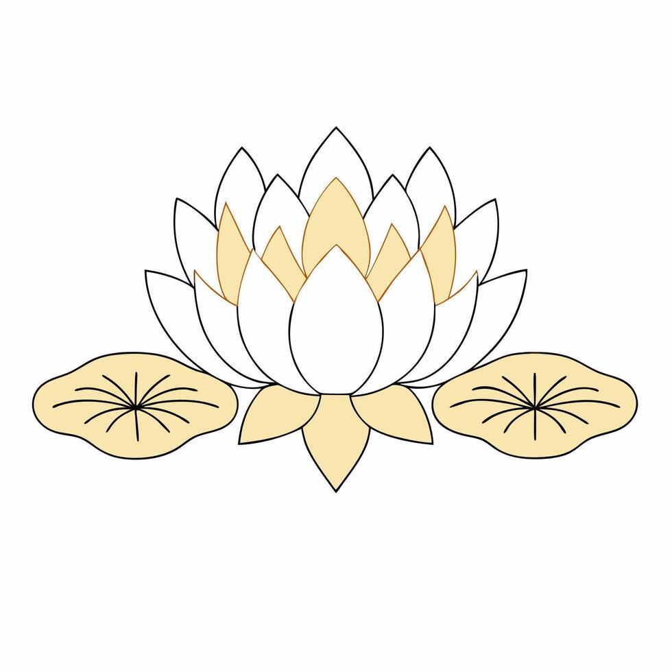 Water Lily Flower Illustration White, Yellow, Simple Line Art. vector