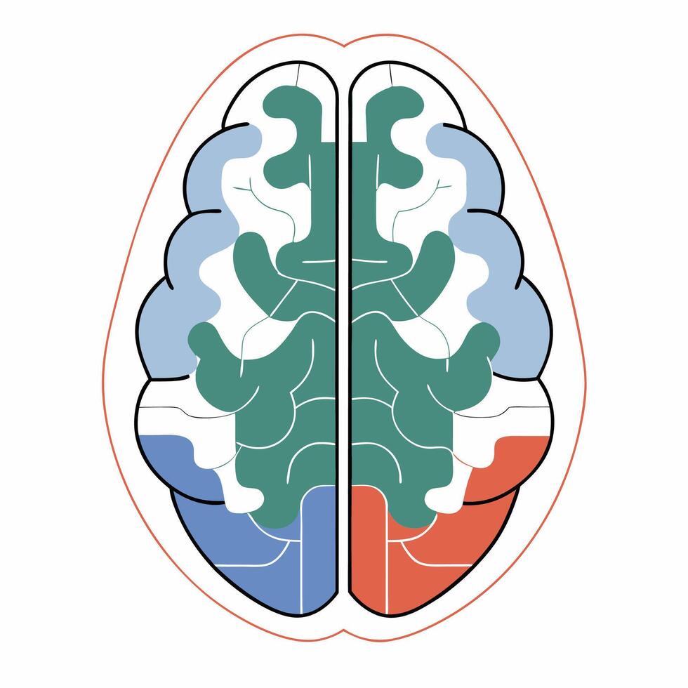 Professional Brain Diagram Teal, Blue. vector