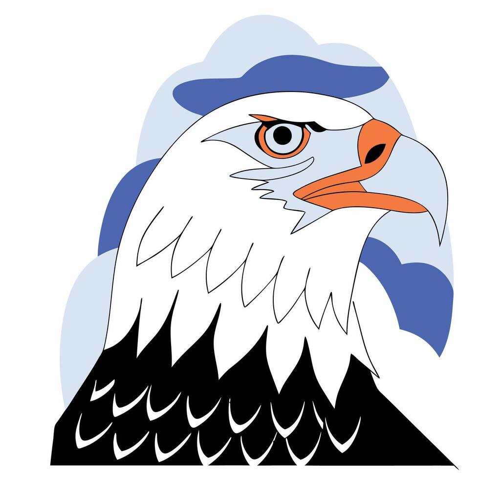 Bald Eagle Head Illustration Detailed, White and Black, Orange Beak. vector