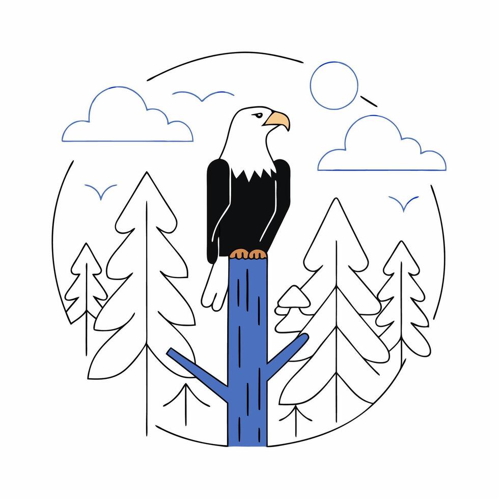 Bald Eagle Line Art Minimalist Wildlife Illustration, Forest Scene. vector