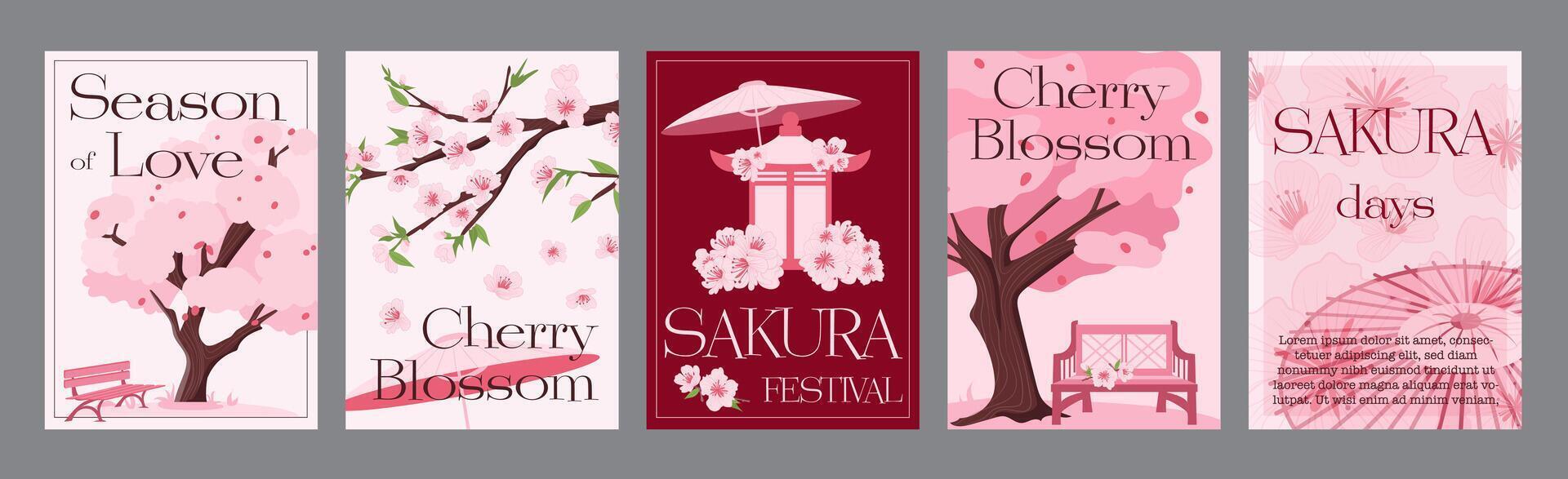 Sakura blossom typography template posters. Vertical covers with pink season cherry trees with blooming flowers in japanese springtime. Modern banners set in minimalism design. illustration. vector
