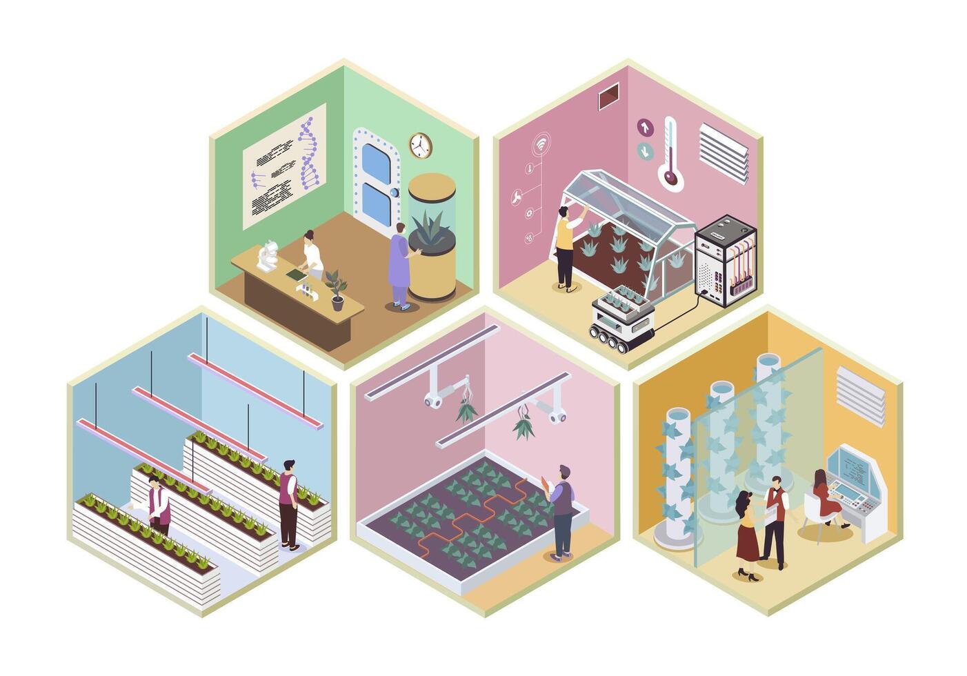 Modern agricultural 3d isometric rooms concept in isometry graphic design for web. People working in smart greenhouse and vertical growth farm, researching plants in laboratory. illustration. vector