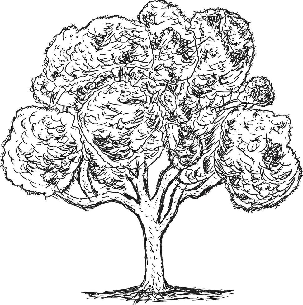 Hand-Drawn Tree Line Art Illustration, Black and White Sketch vector