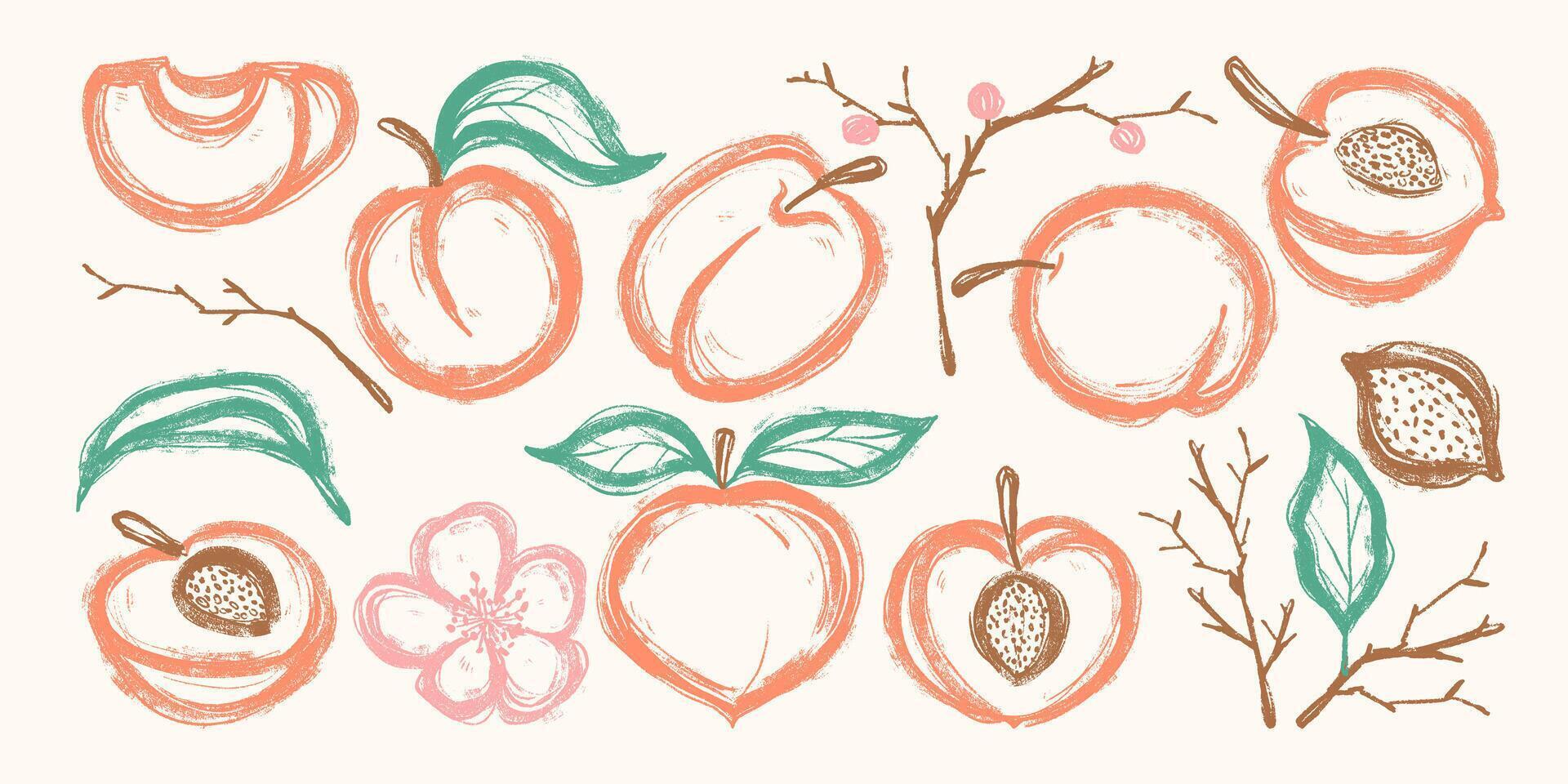 Set of Hand Drawn Delicious Peaches. Colorful grunge abstract peach collection with bold outline and texture. Clipart juicy food in doodle style vector