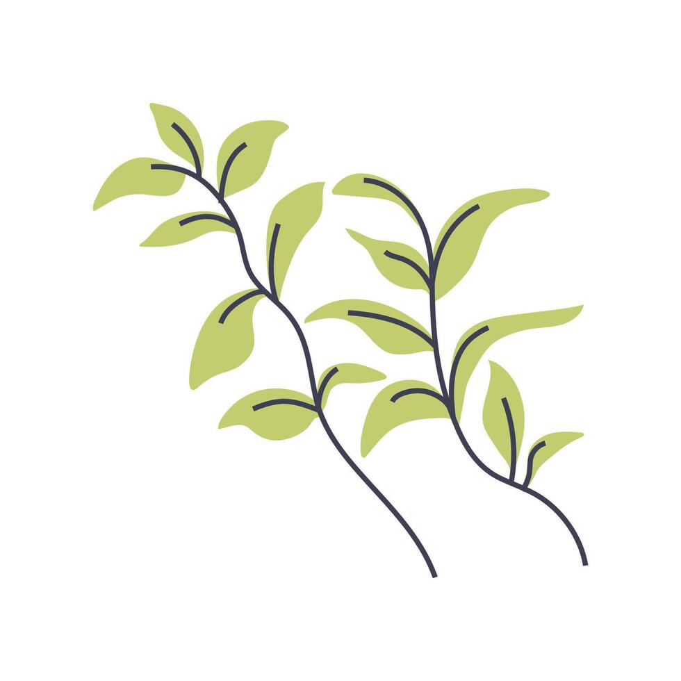 Simple illustration of light green plant. Perfect for creating minimalist and modern plant designs vector