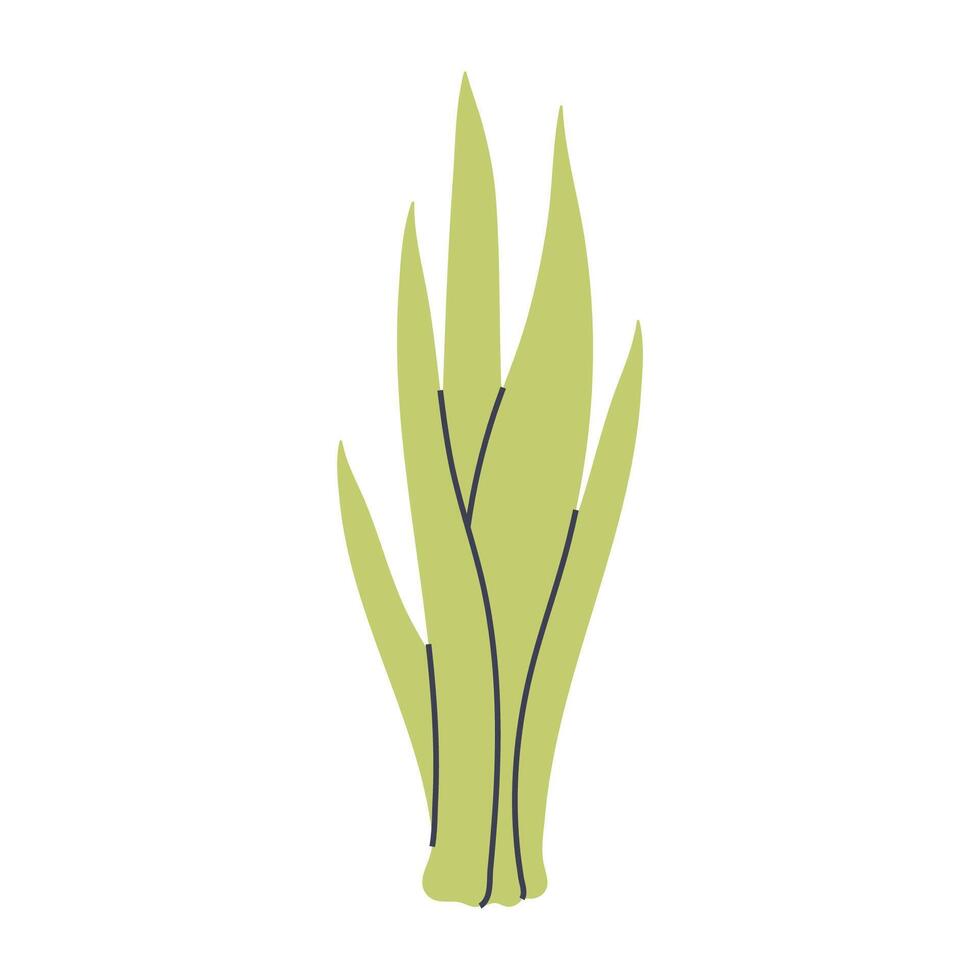 Simple illustration of light green succulent plant. Perfect for creating minimalist plant designs vector