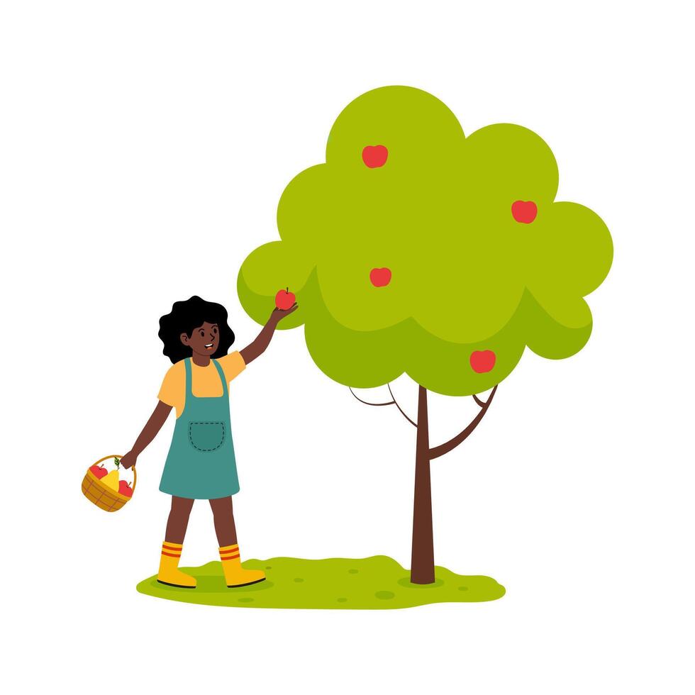 Young girl picking apples from a tree in a sunny orchard during autumn vector