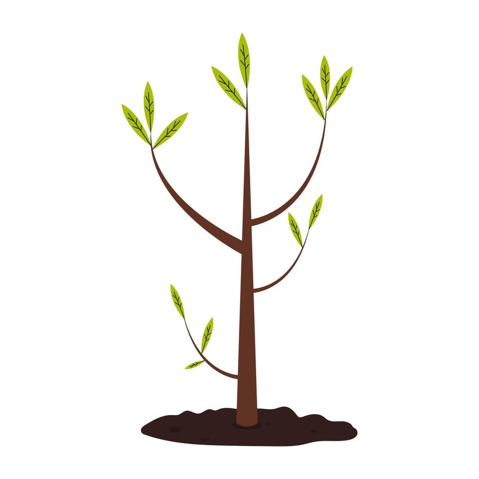 Young tree with green leaves growing in rich soil during springtime season vector
