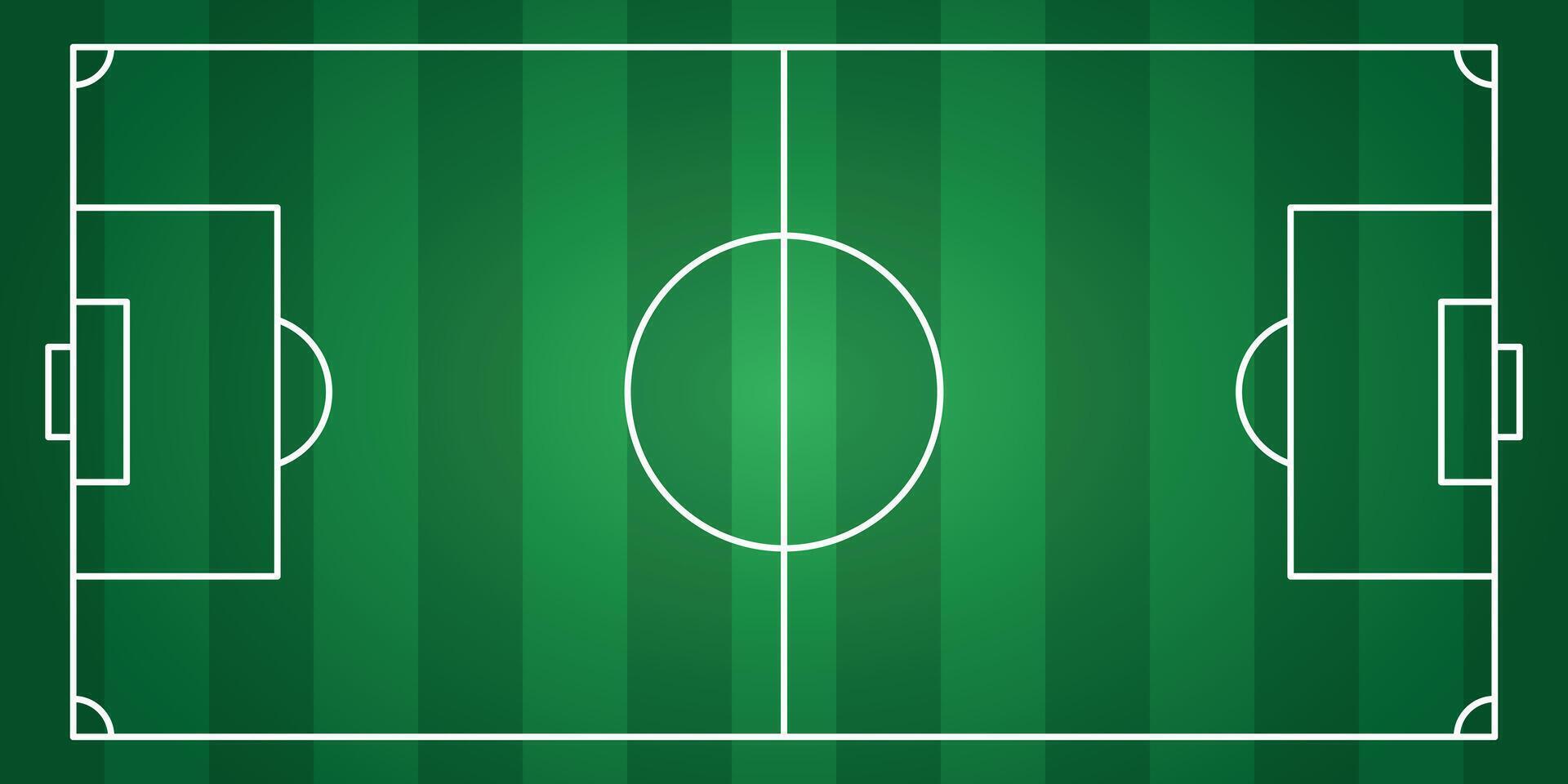 Soccer field with green lines and white lines vector