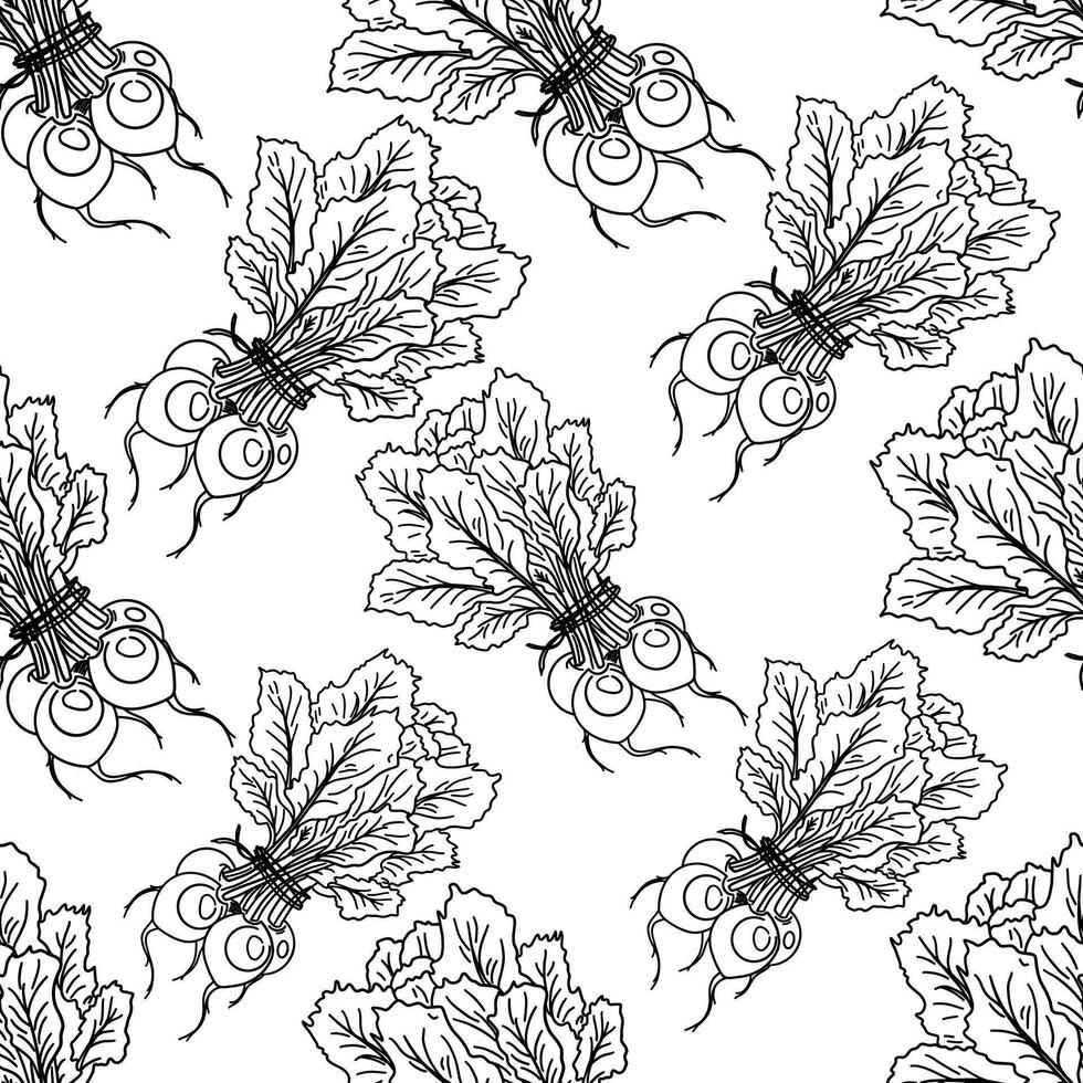 Pattern, Seamless background illustration of organic farm fresh vegetables, radish, turnip, radish. Contour thin line in doodle style. Black line, white background vector
