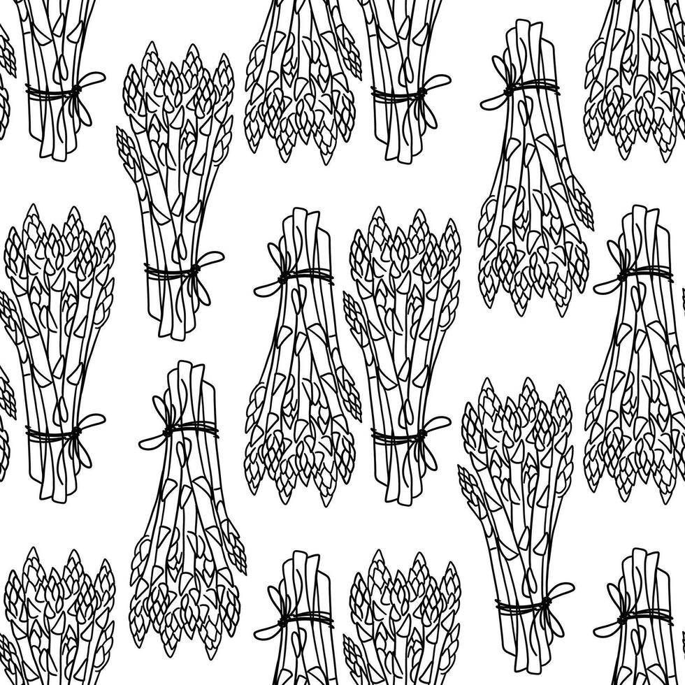 Pattern, Seamless background illustration of organic farm fresh vegetables, asparagus. Contour thin line in doodle design style. Black line, white background vector