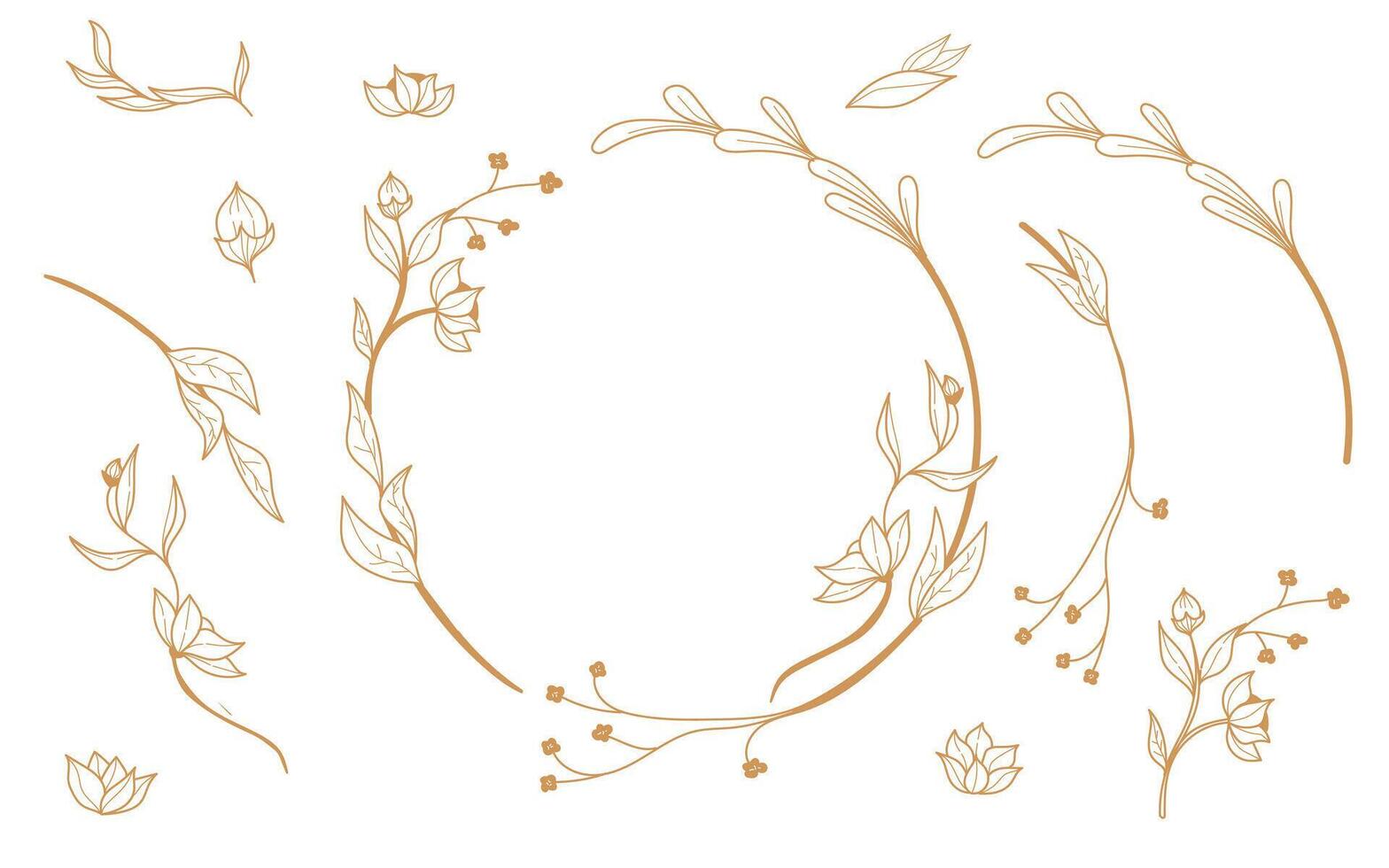 Elegant Botanical Calligraphy .Floral Frame and Graceful Branches. illustration. vector