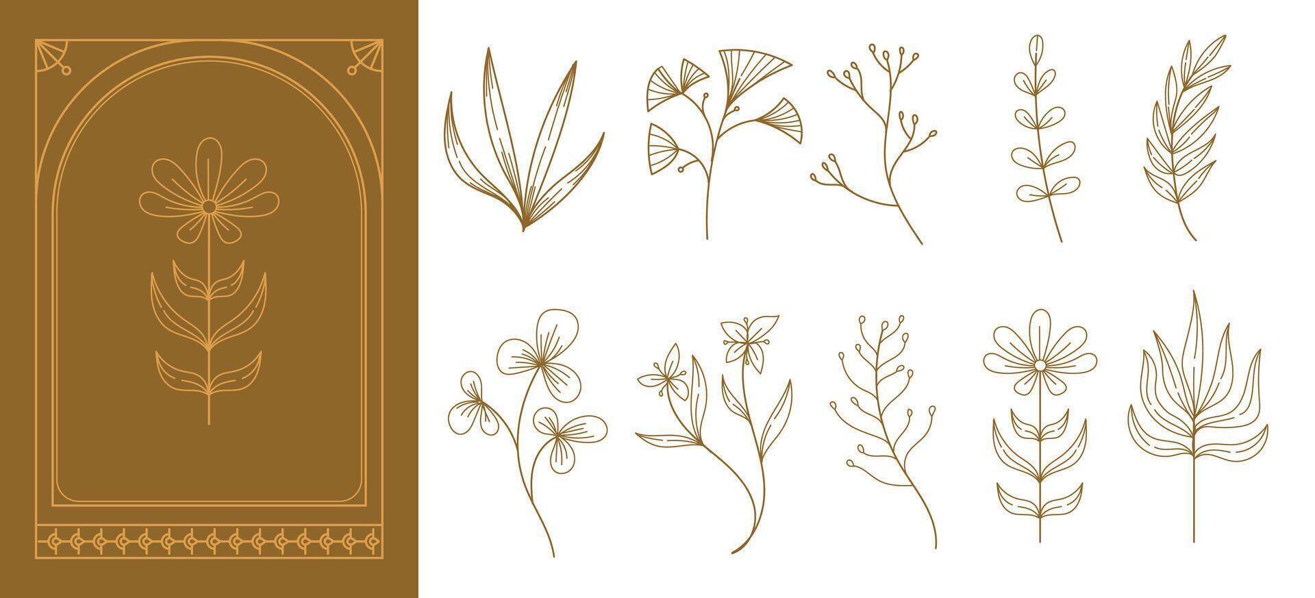 Set of boho simple geometric branch and flowers. Botanic design elements in wavy and vintage style. illustration. vector