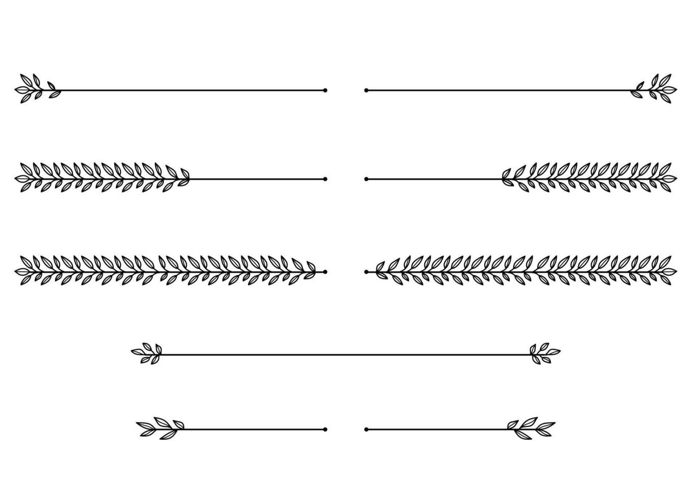 Nature floral vine line divider for text layout separator decoration hand drawn element collection. vector