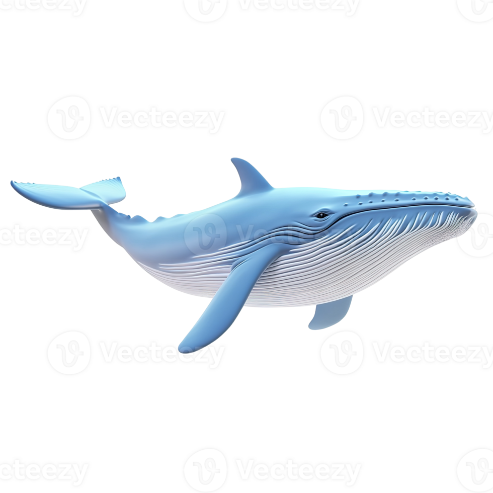 A three dimensional model of a humpback whale, Isolated on Transparent Background png