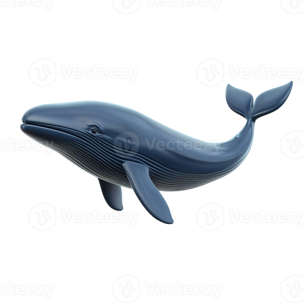 A Blue Whale Swims Gracefully Through The Ocean Depths Isolated on Transparent Background png