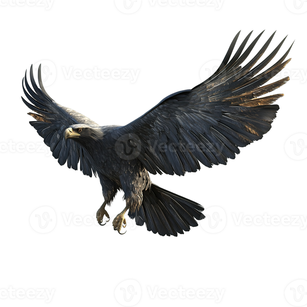 Majestic Eagle In Flight Wings Spread Wide Isolated on Transparent Background png
